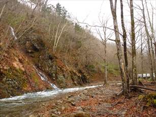 川の全景