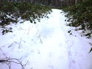 積雪の状態