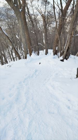 下りは踏み固められ雪が滑る