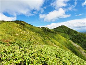 大平山（右端）