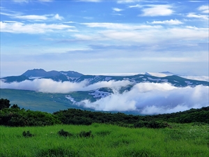 白雲岳避難小屋から臨むトムラウシ山（写真左端にある王冠型の山、７月撮影）