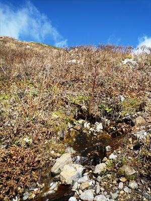 ピークから70メートルほど下ったところには水場があり、流石にこの時期はチョロチョロですがシーズン通して枯れない不思議な水場です。