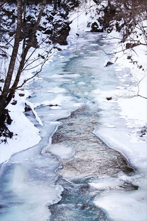 凍り付き始めた川
