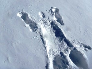 正解は・・・人が雪の中にダイビングした跡ですね