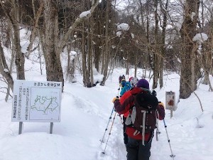 水源かん養保安林のなかを進んでいきます