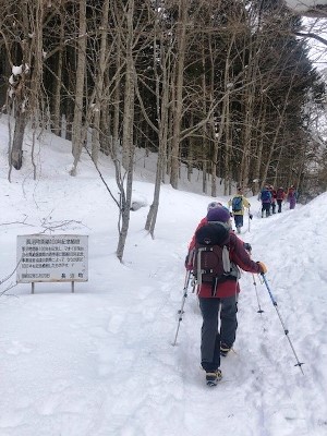 長沼町の記念植樹の脇を通過します