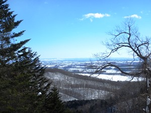 冬の十勝平野