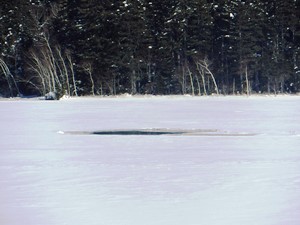 湖の一部は、凍ってない模様です。