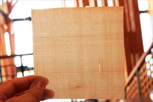 透かした木の折り紙