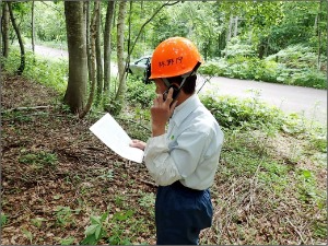 何をしている写真でしょう？
