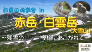 お盆の山歩きin赤岳・白雲岳