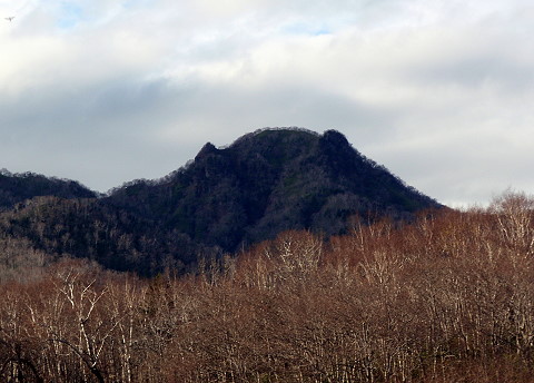 知床には、猫耳(?)を付けた山があります。