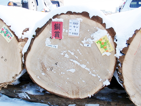 写真は国有林から、銘木市に出品された木材です。