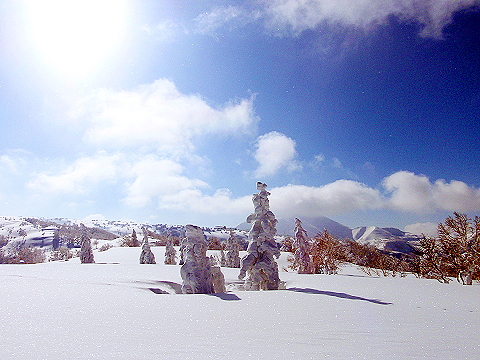 長峰(1,074.7m)から余市岳(1,488m)に続く稜線です。