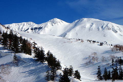 三峰山の斜面