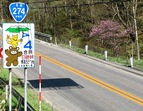 日勝峠の桜