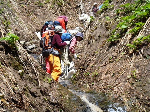 崕山登山道整備