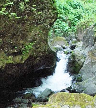 雄鉾岳の沢沿い