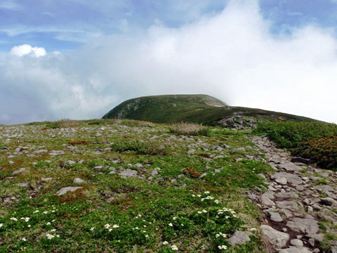 暑寒別岳山頂