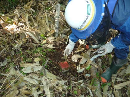 境界標の確認