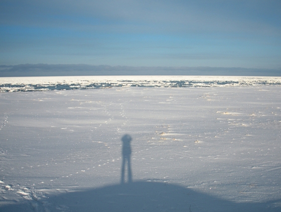 オホーツク海に接岸した流氷