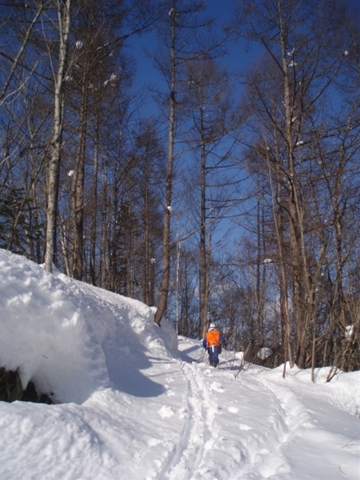 雪の上の調査