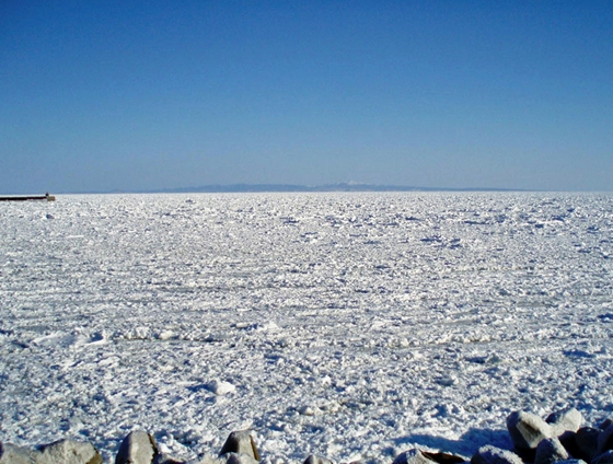 2月15日  羅臼町内から見た流氷