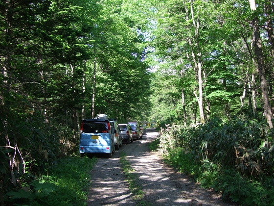 「笹の平たけのこ自生園」開園前日です