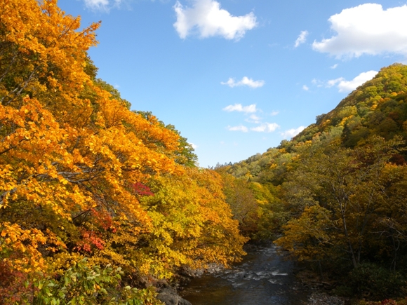 定山渓の紅葉