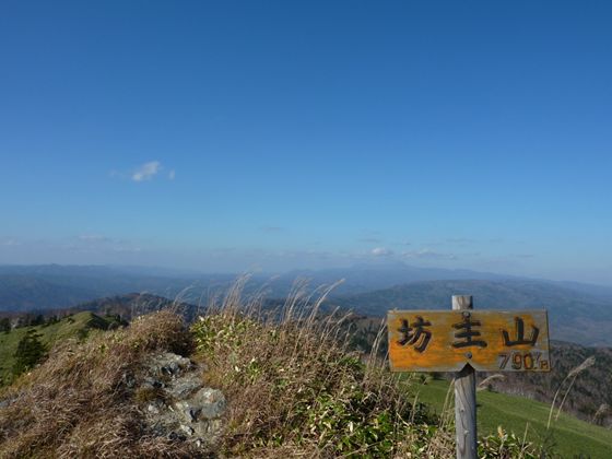 坊主山頂上