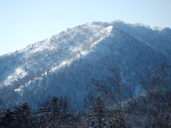 タケノコ山の北東斜面