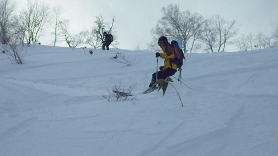 すべり応えのあるGOODな斜面です