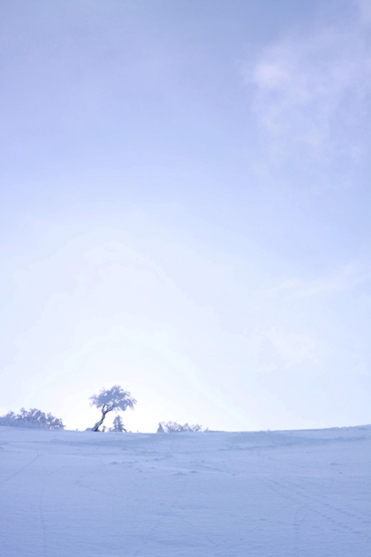 スキーで滑るのに適した斜面が広がっており、雪質も最高でした