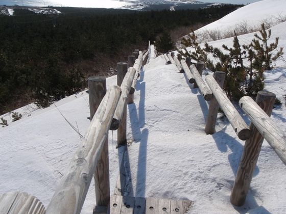 雪に埋もれた階段