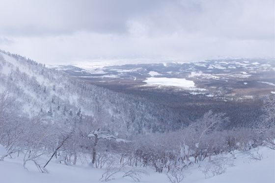 富良野岳