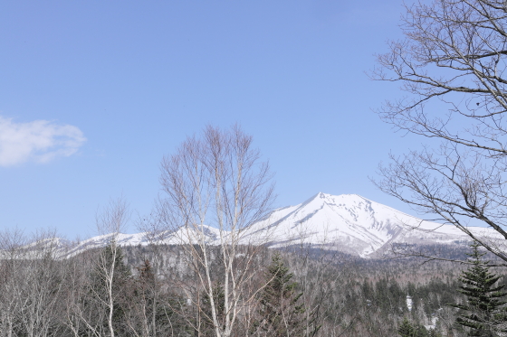 オプタテシケ山