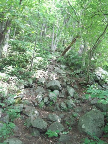 登山道は全般に険しく、低山の割に危険度は高いです