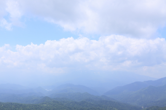 石北峠の武華岳に登ってきました