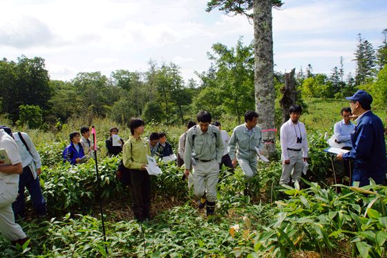 雷別地区国有林で北海道森林管理局が実施している森林再生事業を説明