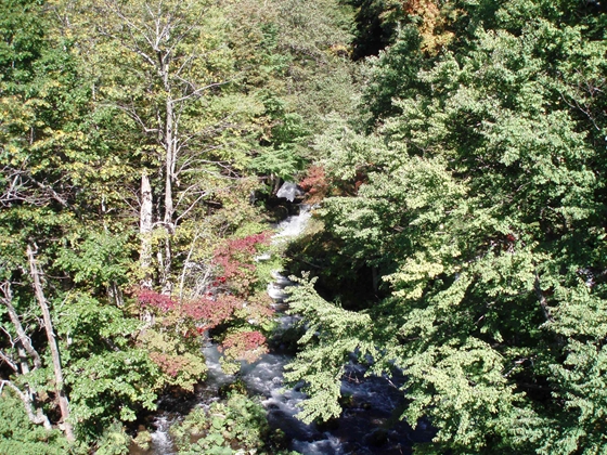 阿寒湖温泉街に入る手前にある滝、通称「滝見橋」まだ紅葉が進んでいません。