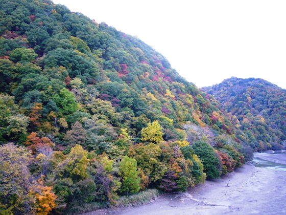 紅葉山