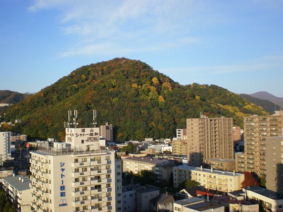 円山全景