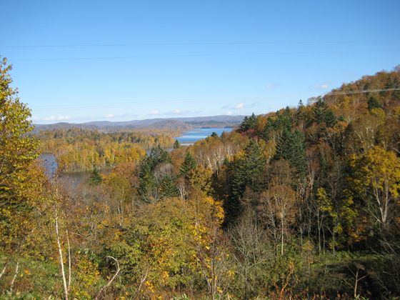 秋晴れの朱鞠内湖と国有林の紅葉