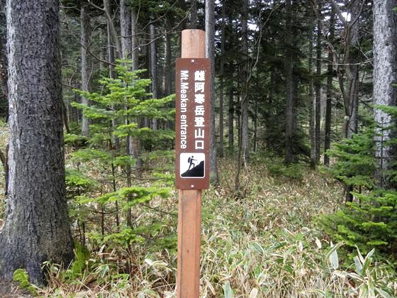 看板の整備作業も森林官のちょっとした仕事です