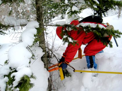 積雪があるため、可能な限り下方向から測定することが必要になります