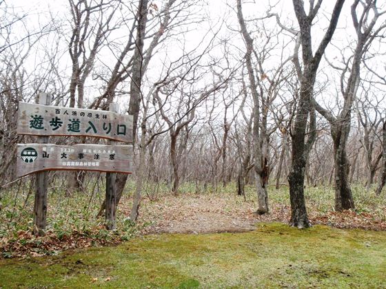 百人浜の原生林の遊歩道入り口。