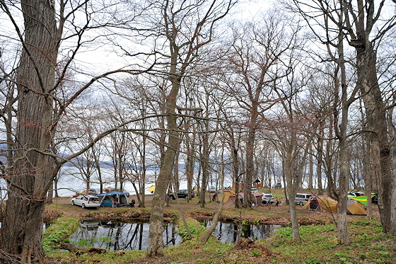 このキャンプ場は、洞爺湖畔の国有林を活用したもので、壮瞥町が運営しています。