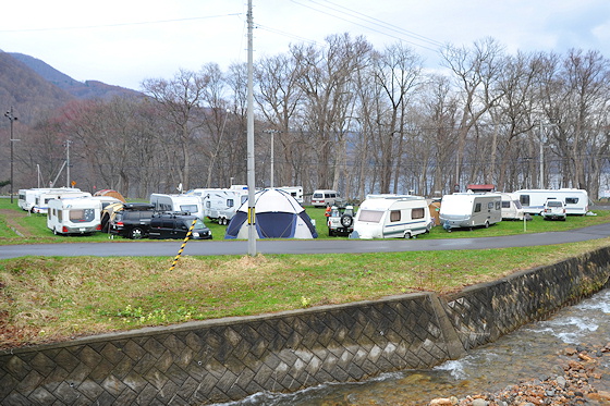 キャンピングカー専用の芝生サイトでは、トラベル・トレーラー愛好家みなさんがキャンプを楽しんでいました。