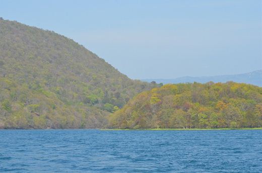 右が饅頭島、左が今回上陸した大島です