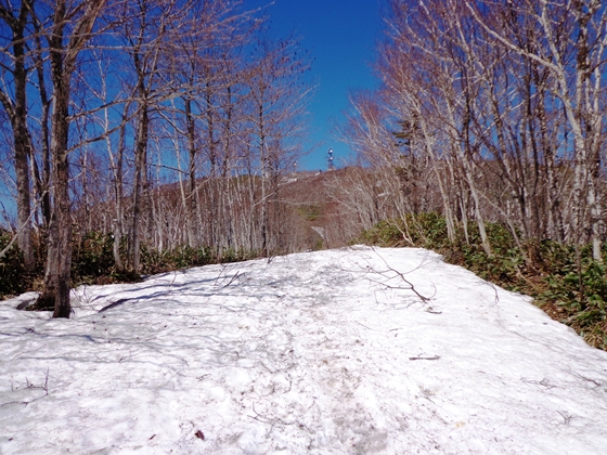 残雪が残る仁頃山